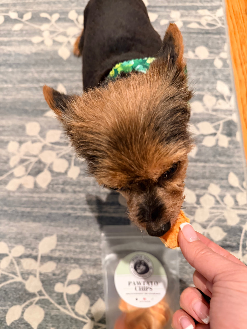 Sweet Pawtato Chips