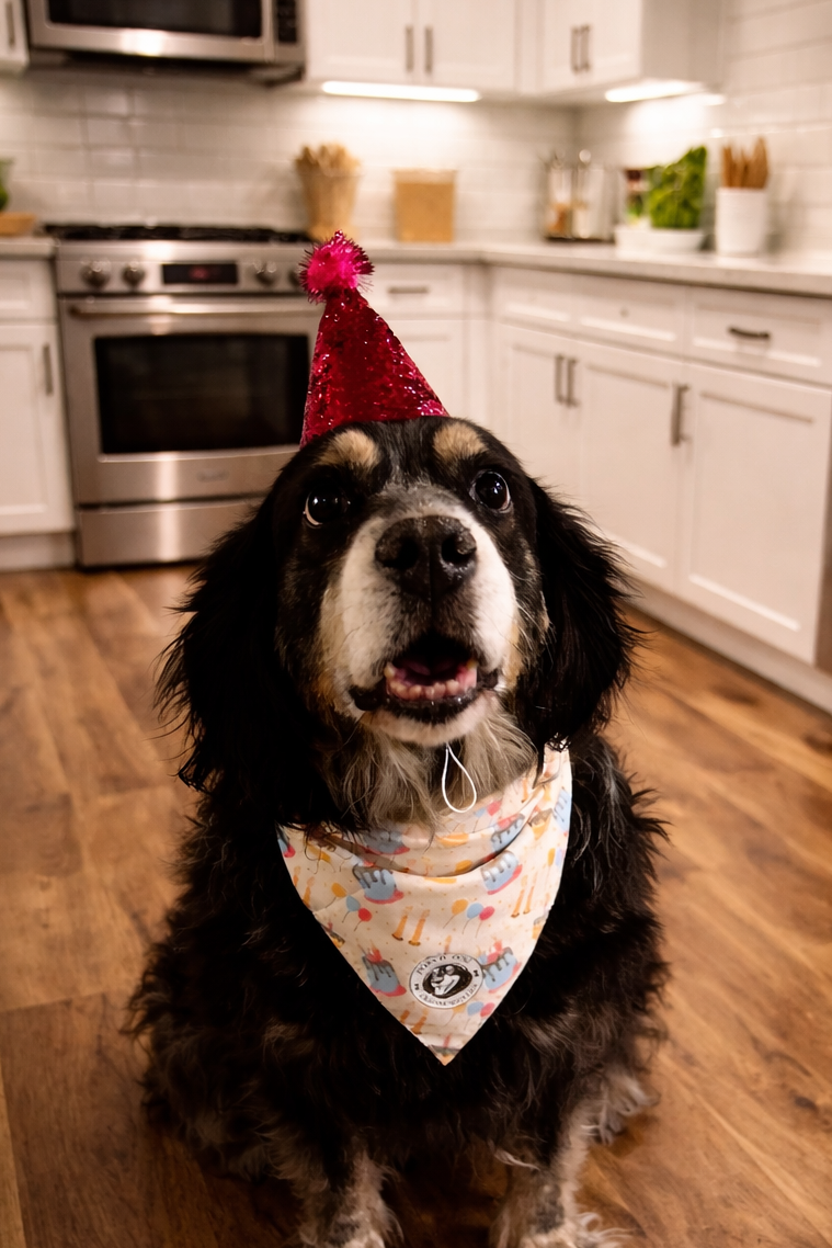 Pawty Time Celebration Bundle
