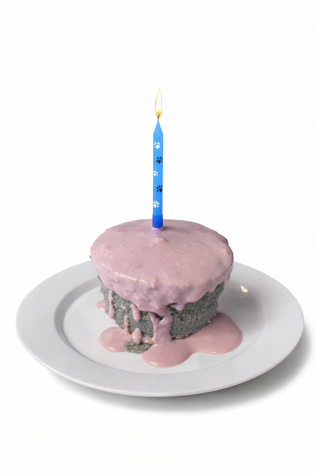 Pawty Time Celebration Bundle